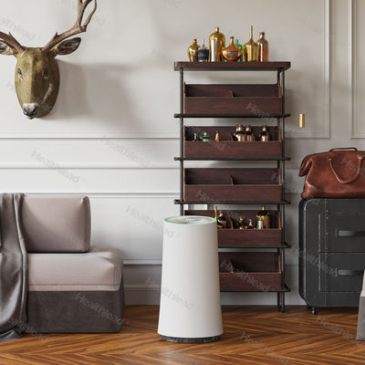 EPI380 Healthlead air purifier, efficiently remove Pollen under High wind speed, 1-24H timer shut down function setting